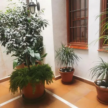 Attico Luxury Suitemalaga Apartment *