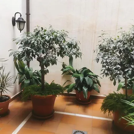 Διαμέρισμα Attico Luxury Suitemalaga